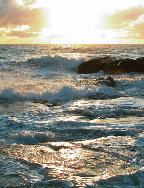 Fotografía por dazza17 para DesignCrowd (Community Contests) | Diseño #9035700