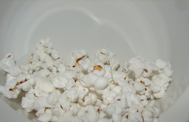 Photography by robinsphotos for DesignCrowd (Community Contests) | Design #9052734