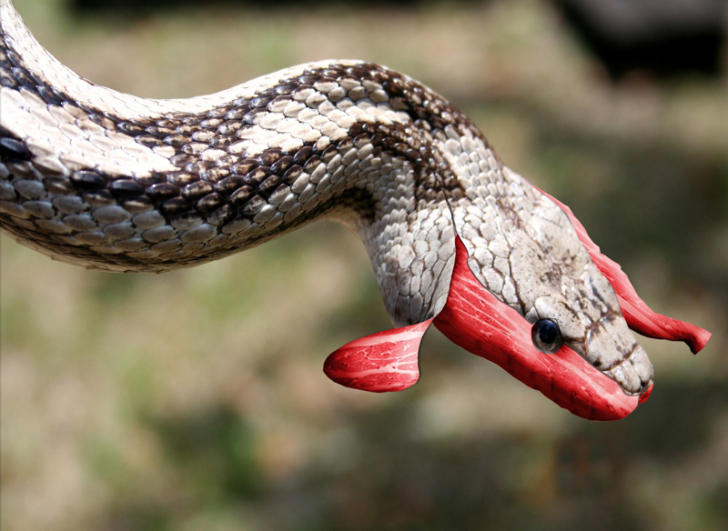 Diseño de Photoshop por mattbyng para DesignCrowd (Community Contests) | Diseño #9034550