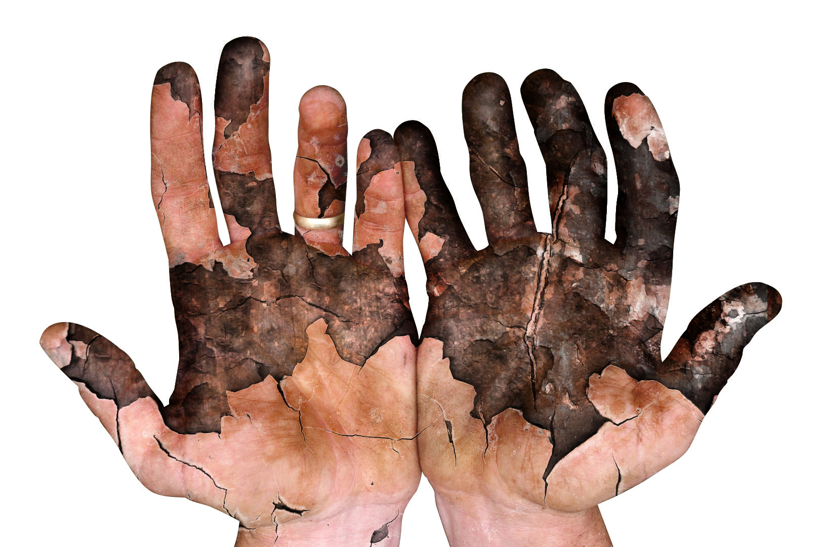 Design Photoshop par Sutherland pour DesignCrowd (Community Contests) | Design #9034708