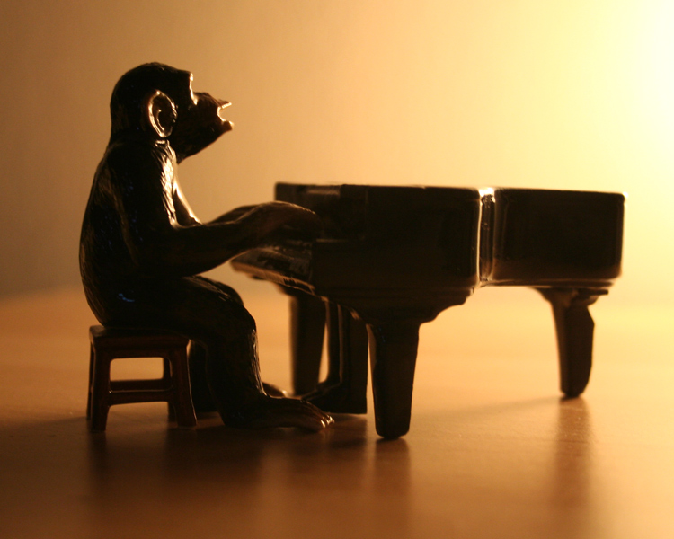 Photography by stayceejae for DesignCrowd (Community Contests) | Design #9035755