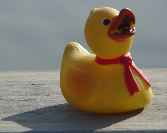 Photography by robinsphotos for DesignCrowd (Community Contests) | Design #9035874