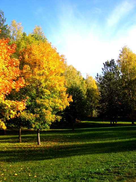 Photography by Tool47 for DesignCrowd (Community Contests) | Design #9035768