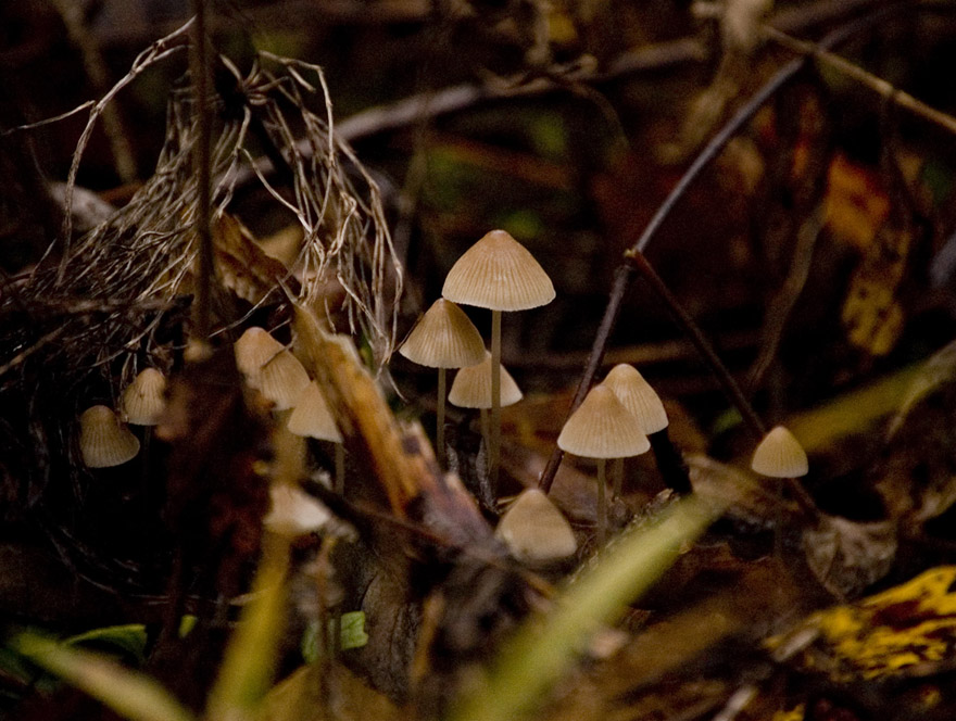 Photographie par Reconban pour DesignCrowd (Community Contests) | Design #9035749