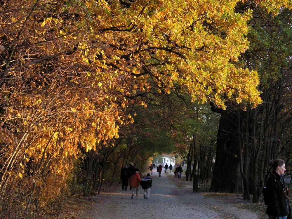 Photography by AnnaDK for DesignCrowd (Community Contests) | Design #9035774