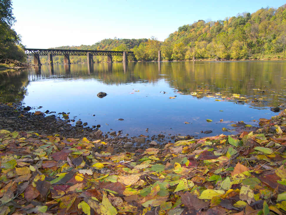 Photography by slimjewel1 for DesignCrowd (Community Contests) | Design #9035812