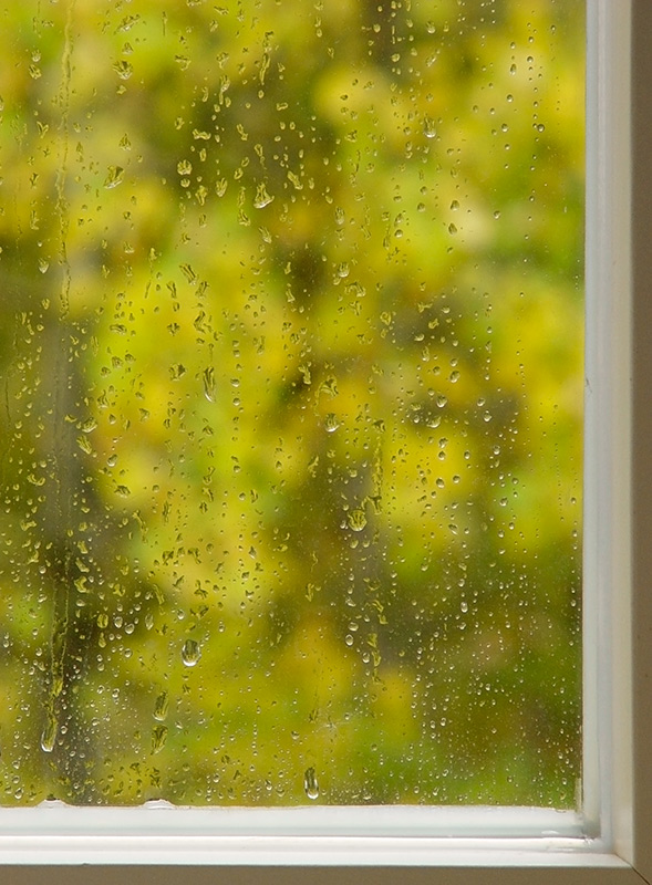 Fotografie von noblige für DesignCrowd (Community Contests) | Design #9035862