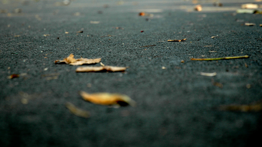 Photography by catalinm for DesignCrowd (Community Contests) | Design #9035868