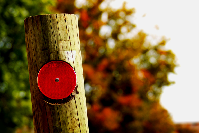 Photographie par fuzzypoints pour DesignCrowd (Community Contests) | Design #9035899