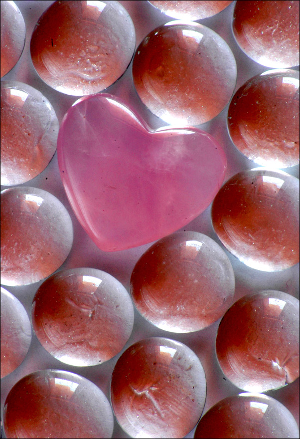 Photography by kimbomac for DesignCrowd (Community Contests) | Design #9030827