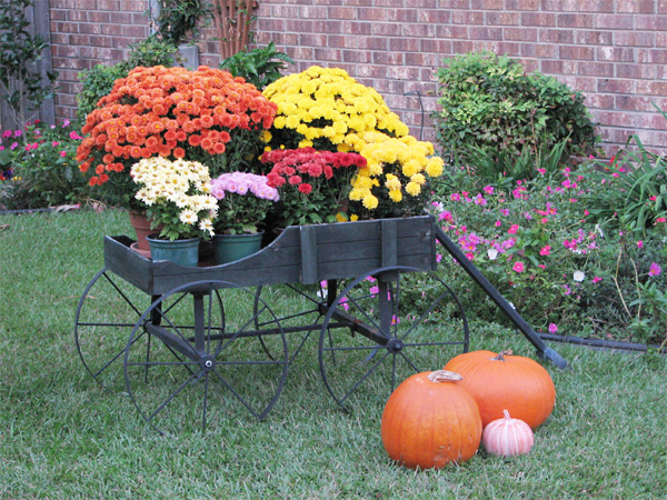 Photography by rickyticky22 for DesignCrowd (Community Contests) | Design #9036051