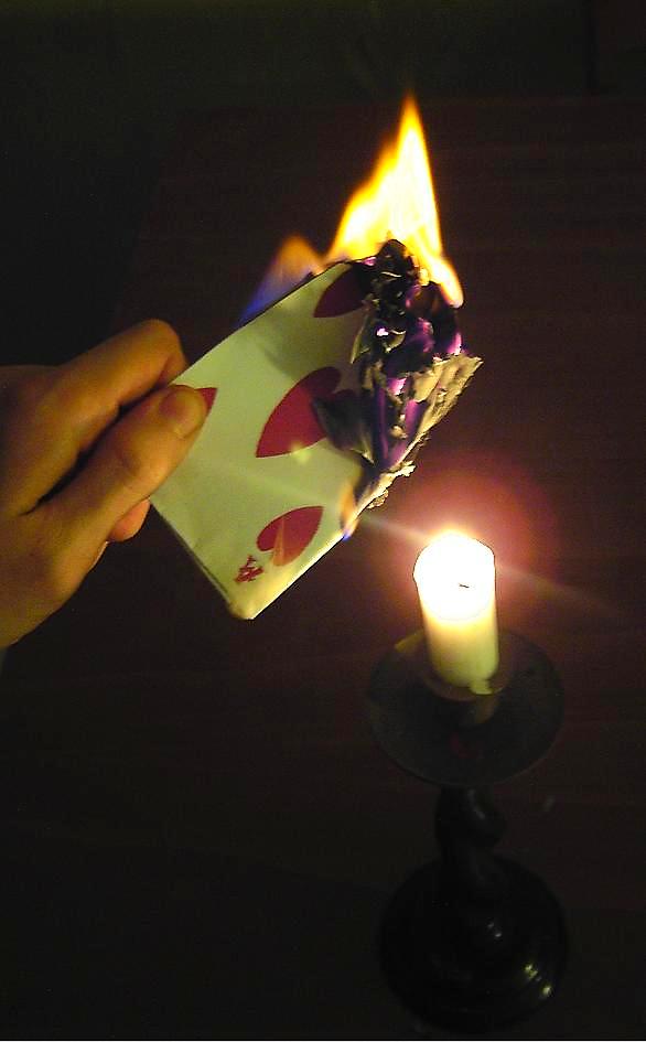 Fotografie von poisonyvy für DesignCrowd (Community Contests) | Design #9030879