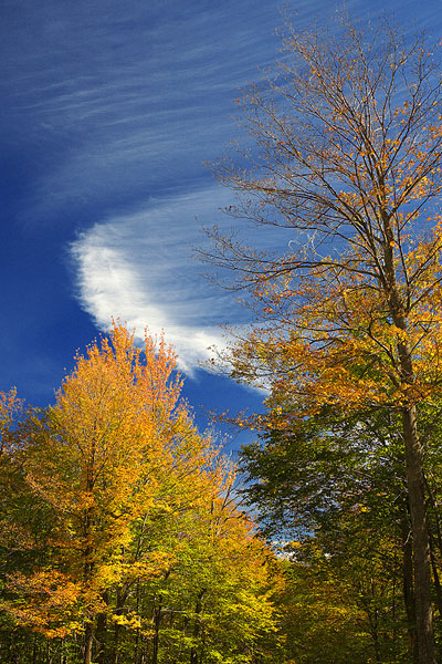 Photography by gdunbar for DesignCrowd (Community Contests) | Design #9036101