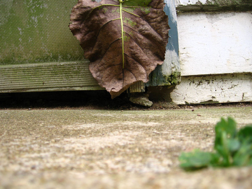 Photography by CyanideAndCake for DesignCrowd (Community Contests) | Design #9036157