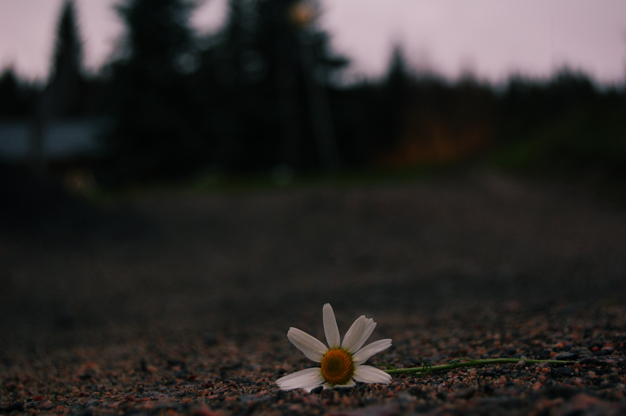 Photography by Reconban for DesignCrowd (Community Contests) | Design #9032060