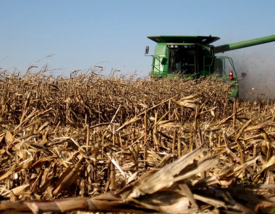 Photography by spincast1123 for DesignCrowd (Community Contests) | Design #9035955