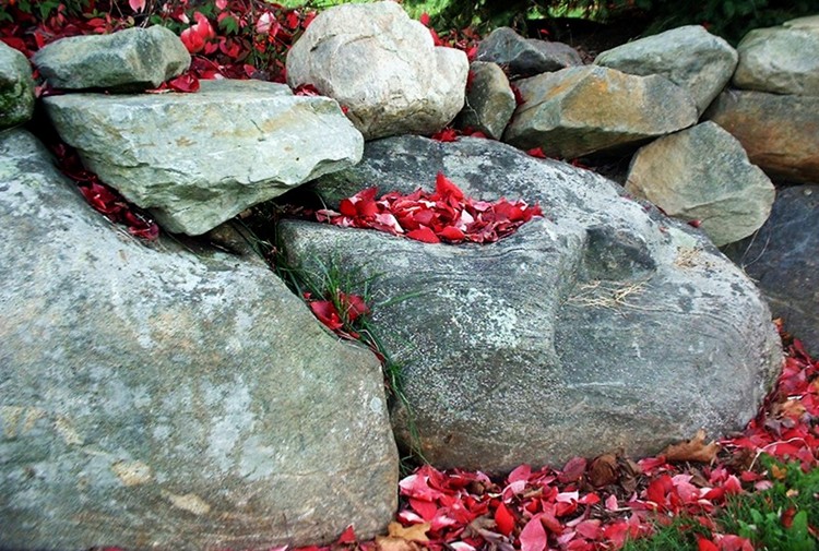 Photography by wildnature for DesignCrowd (Community Contests) | Design #9036070