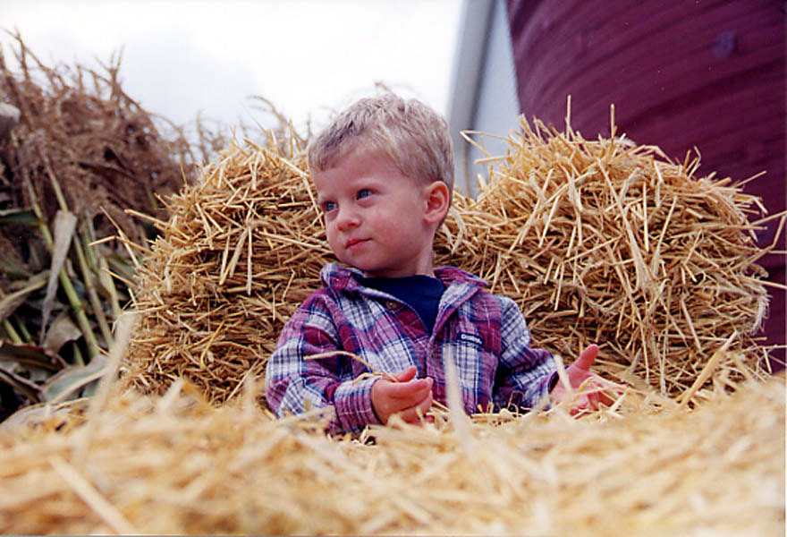 Photography by jpollak for DesignCrowd (Community Contests) | Design #9035935