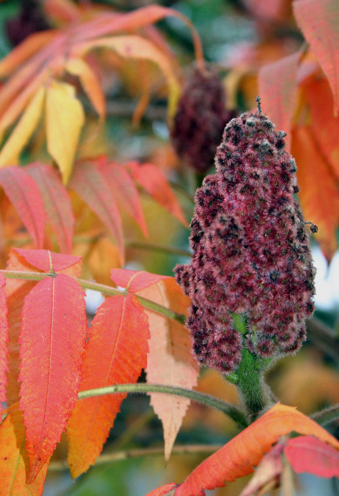 Photography by DurhamTyke for DesignCrowd (Community Contests) | Design #9036015