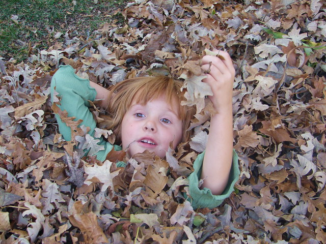 Photography by robinsphotos for DesignCrowd (Community Contests) | Design #9036043