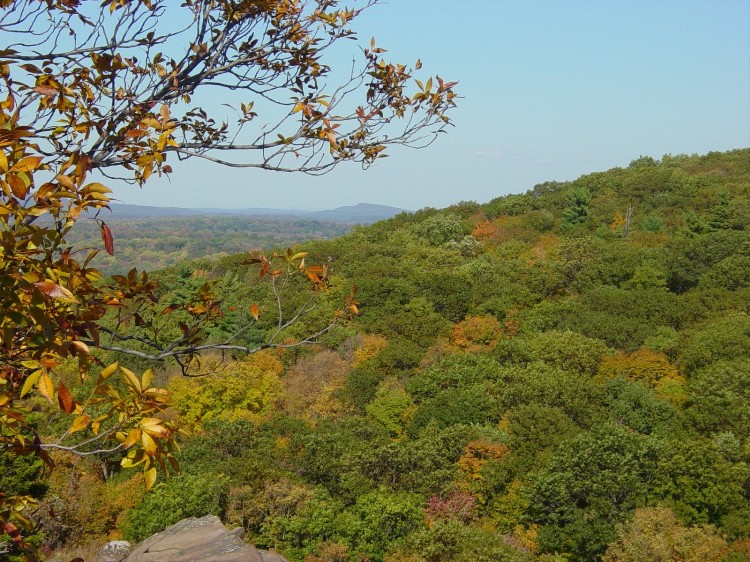 Photography by OutCold for DesignCrowd (Community Contests) | Design #9036006