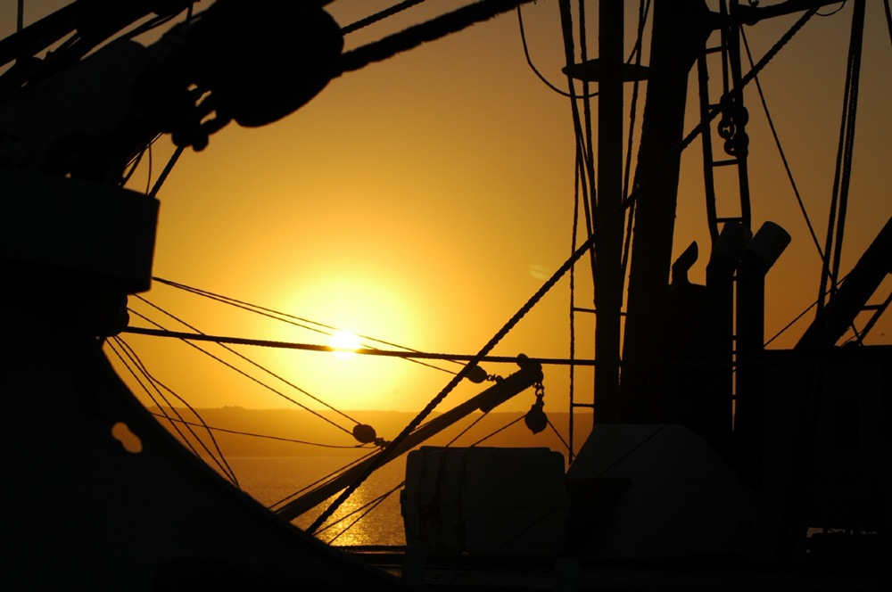 Photography by Larvice for DesignCrowd (Community Contests) | Design #9038824