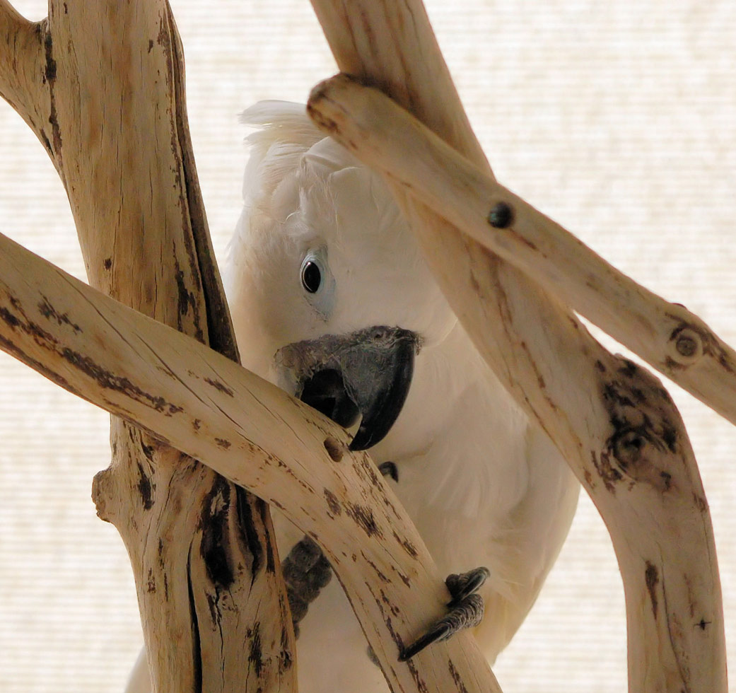 Photography by alwaysbeencreative for DesignCrowd (Community Contests) | Design #9038838