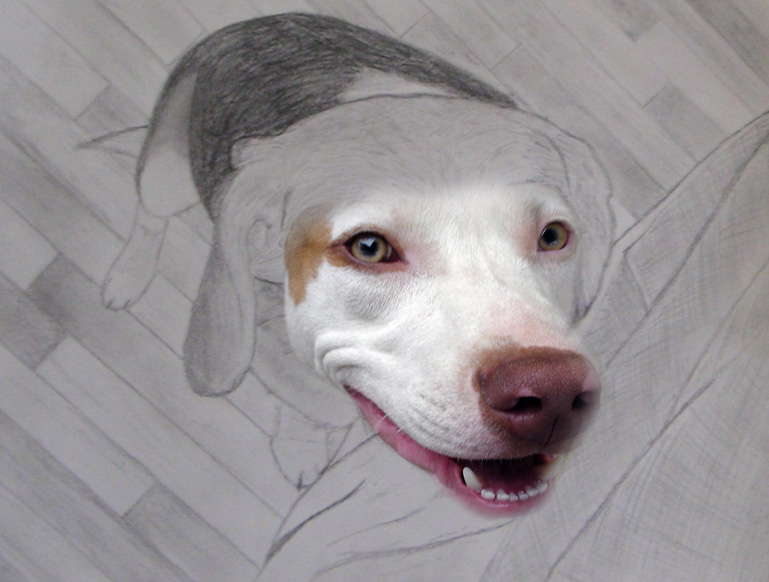 Photoshop Design by madflea for DesignCrowd (Community Contests) | Design #9034574