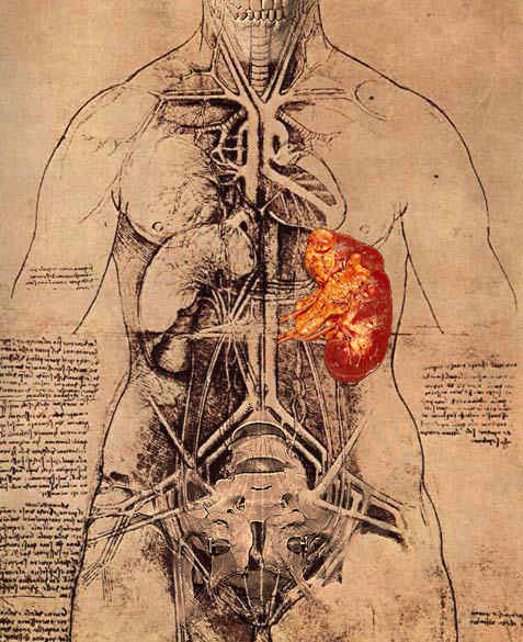 Design Photoshop par CRAZYLEGGSROGERS pour DesignCrowd (Community Contests) | Design #9034602