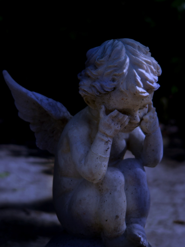 Fotografía por juliemausn para DesignCrowd (Community Contests) | Diseño #9032203