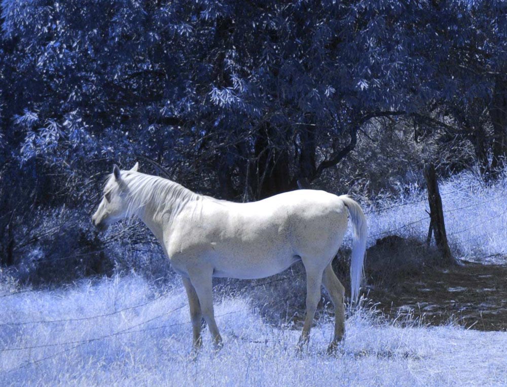 Photography by alwaysbeencreative for DesignCrowd (Community Contests) | Design #9032209