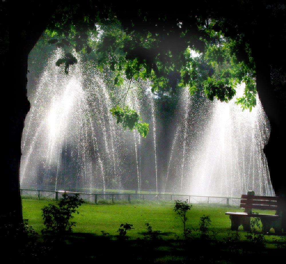 Photographie par DAWARS pour DesignCrowd (Community Contests) | Design #9038906