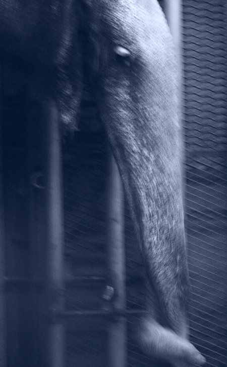 Photography by TamraT for DesignCrowd (Community Contests) | Design #9032257