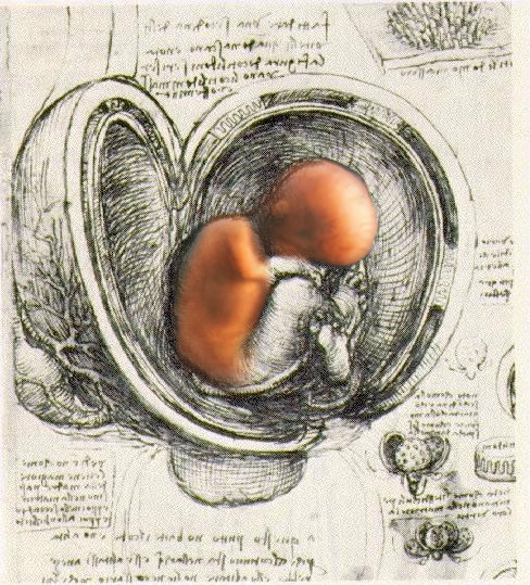 Photoshop-Design von SeanMcQ für DesignCrowd (Community Contests) | Design #9034672