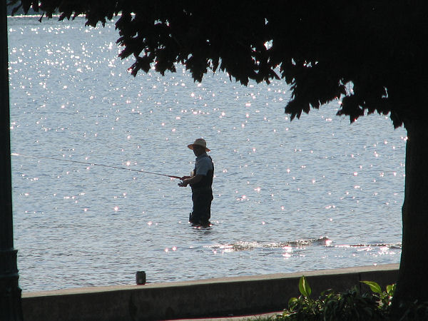 Photography by angel2kiss for DesignCrowd (Community Contests) | Design #9038923