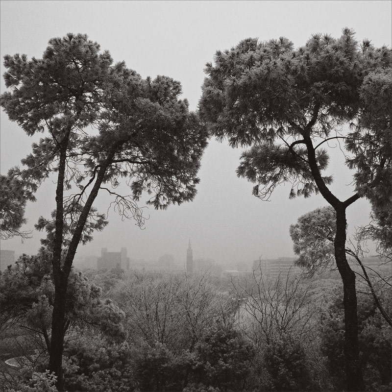 Photography by IsleofJura for DesignCrowd (Community Contests) | Design #9038968