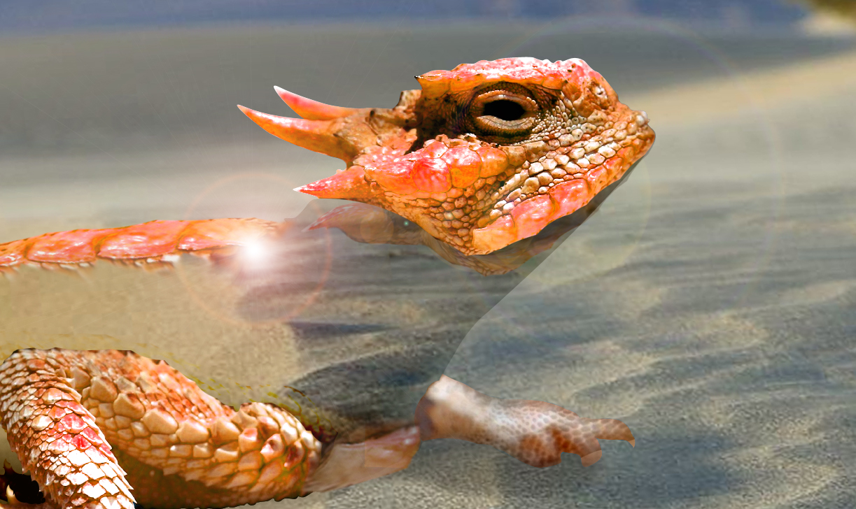 Photoshop Design by eSap85 for DesignCrowd (Community Contests) | Design #9032251