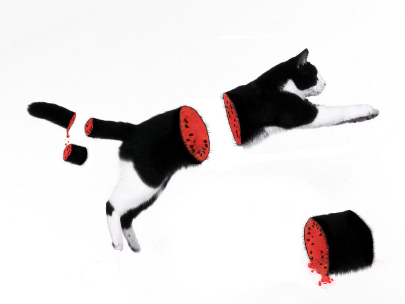 Photoshop-Design von MasterCT für DesignCrowd (Community Contests) | Design #9034111