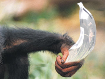 Diseño de Photoshop por msfrigyfrog para DesignCrowd (Community Contests) | Diseño #9032361