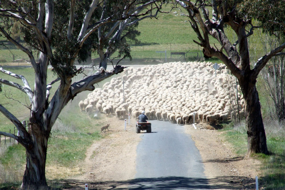 Photography by Pixelicious for DesignCrowd (Community Contests) | Design #9038936