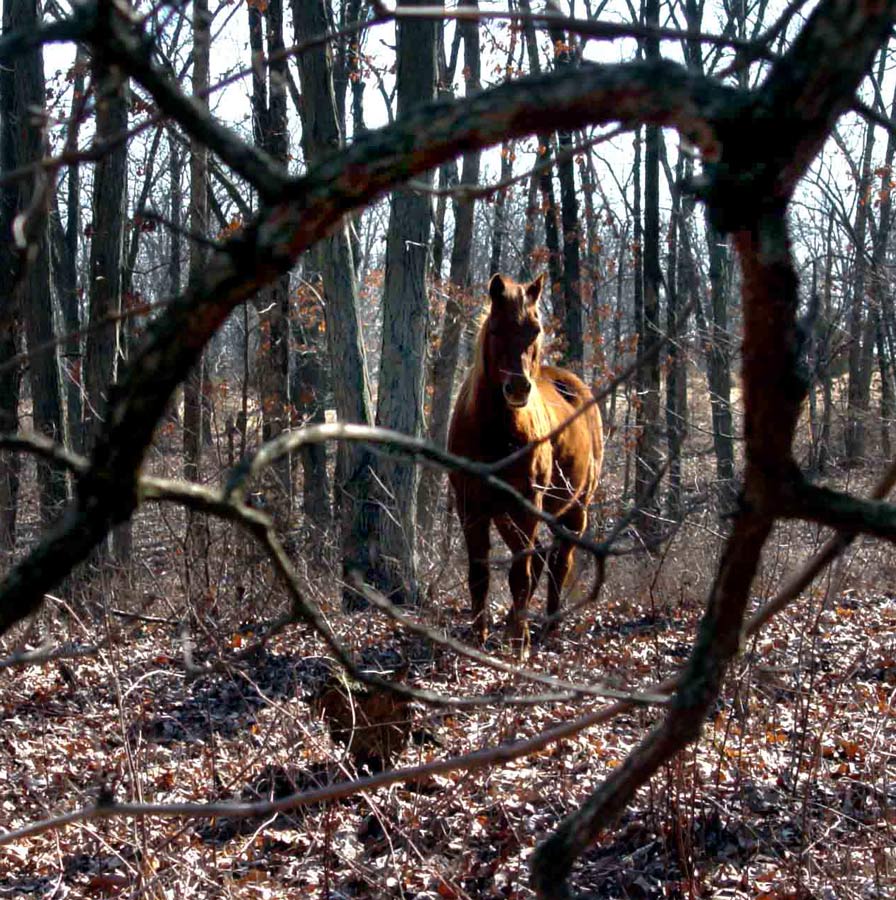 Photography by Meesch for DesignCrowd (Community Contests) | Design #9039057