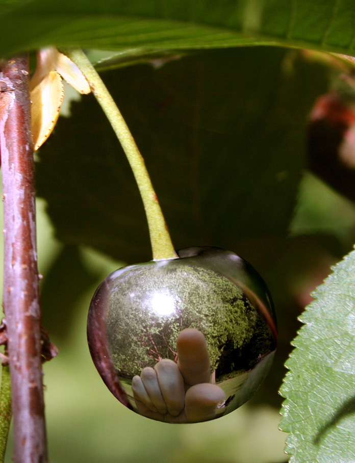 Photoshop Design by saufnase for DesignCrowd (Community Contests) | Design #9032445