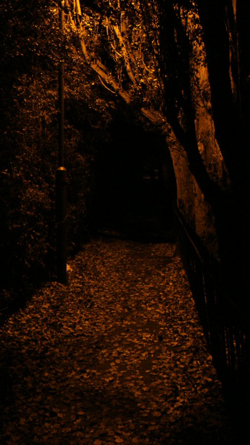 Fotografie von chilledcoder für DesignCrowd (Community Contests) | Design #9039163