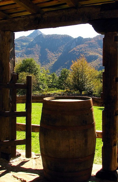 Photography by HIRISH for DesignCrowd (Community Contests) | Design #9039156