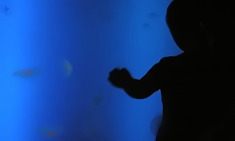 Photography by AsierReisa for DesignCrowd (Community Contests) | Design #9031171