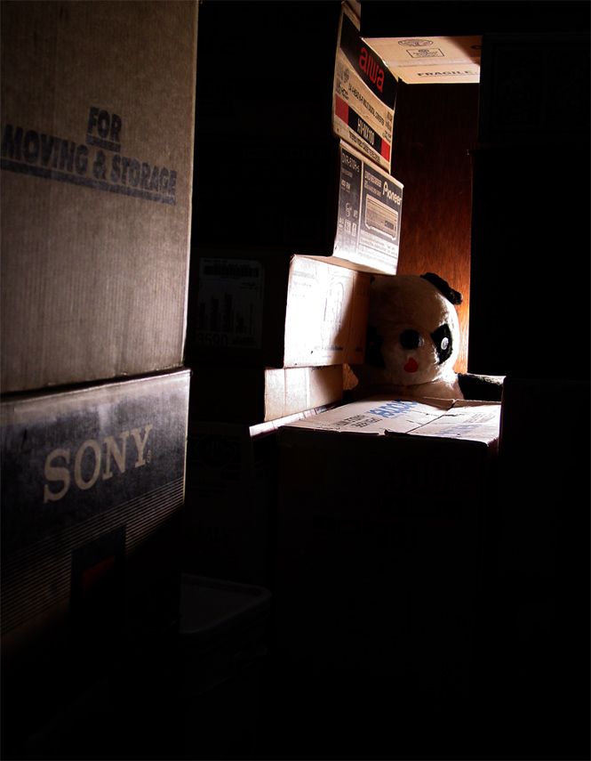 Fotografía por mysterio para DesignCrowd (Community Contests) | Diseño #9039061