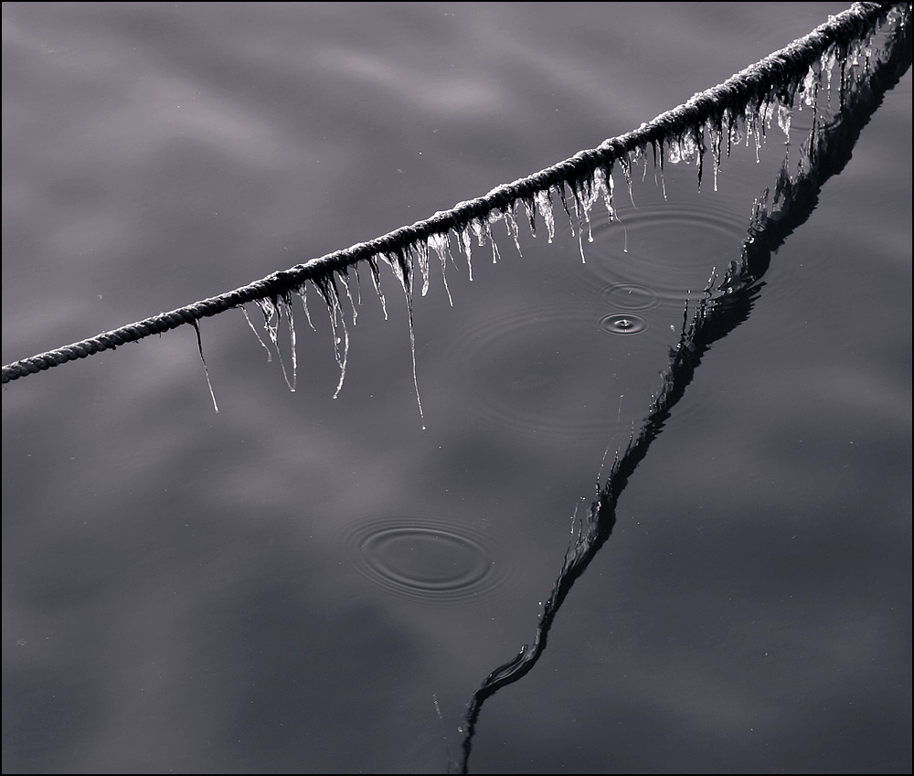 Fotografie von SigloV für DesignCrowd (Community Contests) | Design #9031163