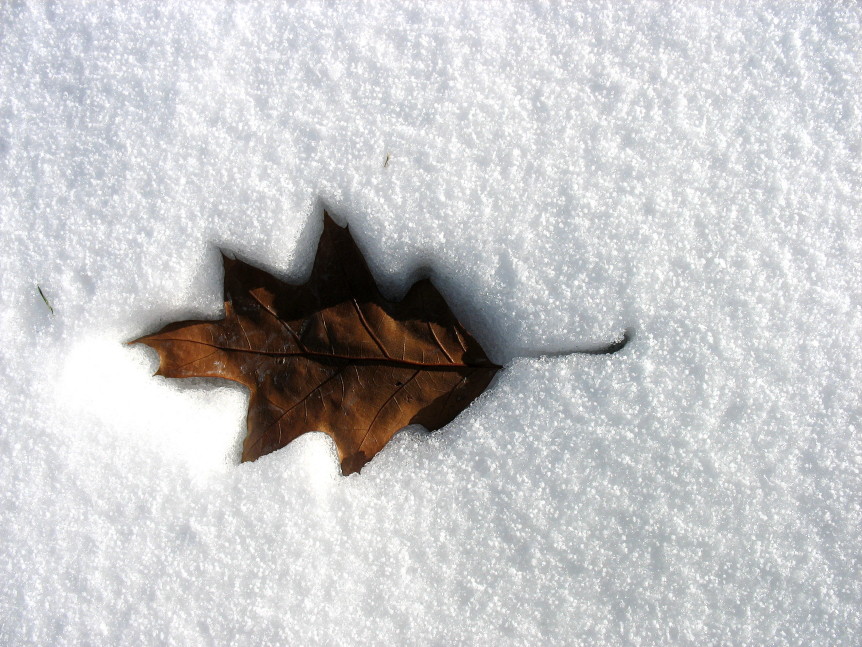 Photographie par gzusfrk pour DesignCrowd (Community Contests) | Design #9031175