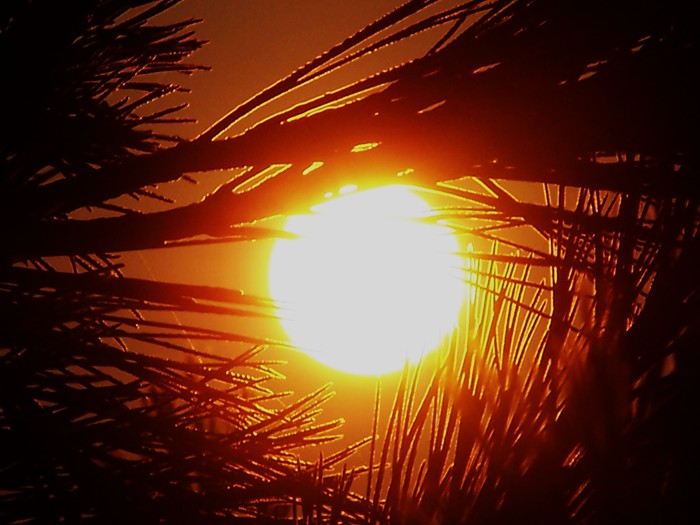 Photography by wildnature for DesignCrowd (Community Contests) | Design #9039107