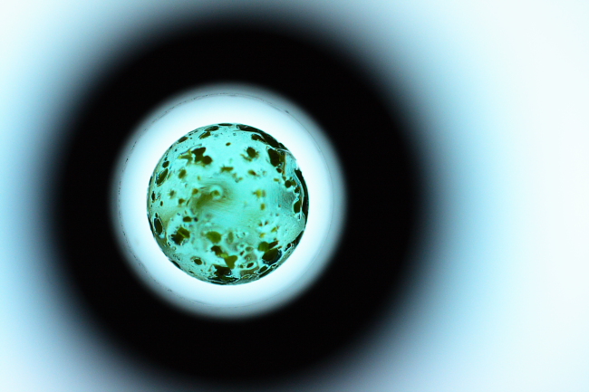 Fotografía por TamraT para DesignCrowd (Community Contests) | Diseño #9039151